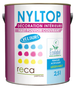 Nyltop-Velours-reca-peinture-var-83